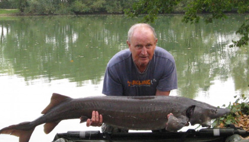 A 50 lb 4 oz sturgeon from Blue Lake, Bill Holcombe, Oct 2017