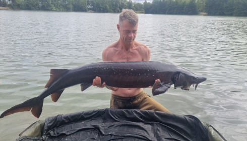 A 54 lb 8 oz fish from Blue Lake, Sturgeon, Aug 2022