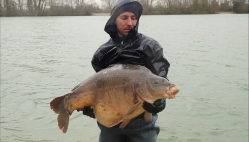A 44 lb carp from Blue Lake, david, Feb 2019