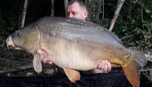 A carp from Blue Lake, delzeeuk, Sep 2021