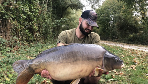 A carp from Blue Lake, louis, Sep 2019