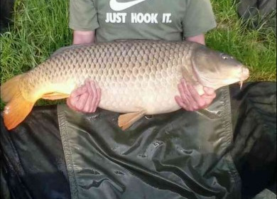 A carp from Blue Lake, Mark Worthington, Jun 2019