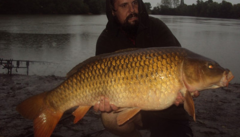 A 30 lb carp from Blue Lake, jonathan collect, Aug 2015