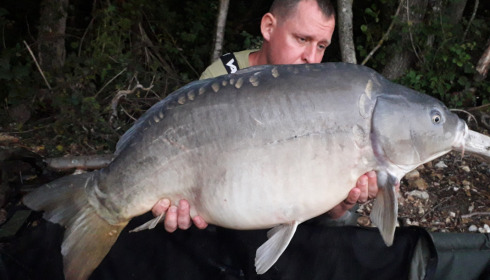 A carp from Blue Lake, delzeeuk, Sep 2021