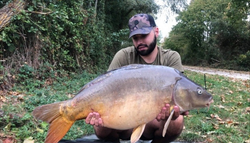 A 33 lb 8 oz carp from Blue Lake, shergold, Sep 2019