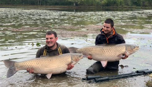 A carp from Boux, Jan 2023