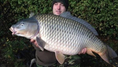 A carp from Boux, Jay Greatrix, Oct 2015