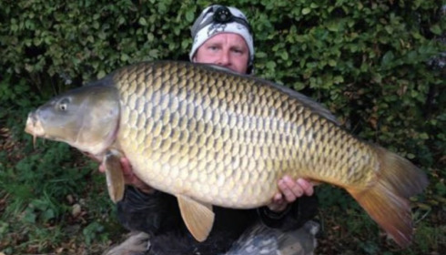 A carp from Boux, Phillip Richardson, Oct 2015