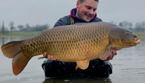 A carp from Boux, Jan 2023