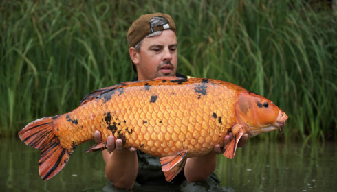 A fish from Boux, Sep 2022