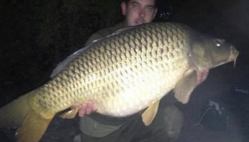 A carp from Boux, Jay Greatrix, Oct 2015
