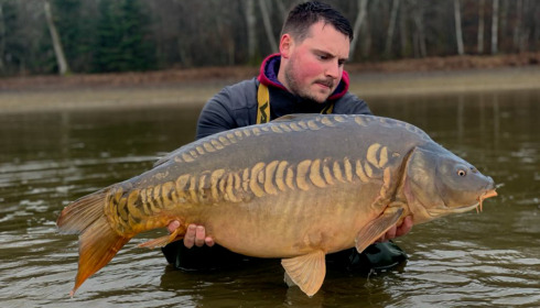 A carp from Boux, Jan 2023