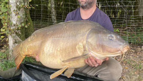 A 60 lb 8 oz fish from Boux, Mirror, Oct 2022