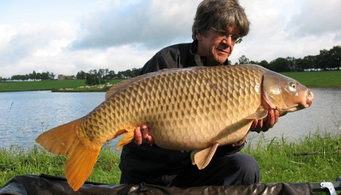 A 33 lb 14 oz carp from Boux, Jim Kelly, Aug 2014