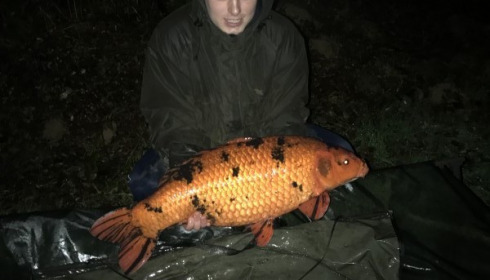 A 25 lb 2 oz carp from Boux, Stephen Harvey, Mar 2017