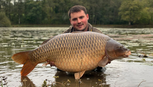 A carp from Boux, Jan 2023