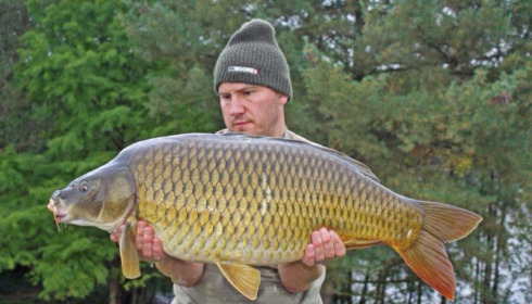 A carp from Boux, James Gesner, Oct 2014