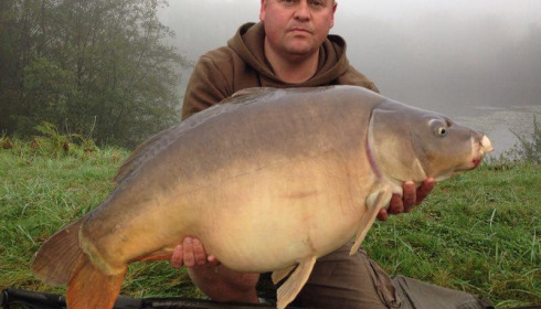 A carp from Boux, John Howard, Oct 2016