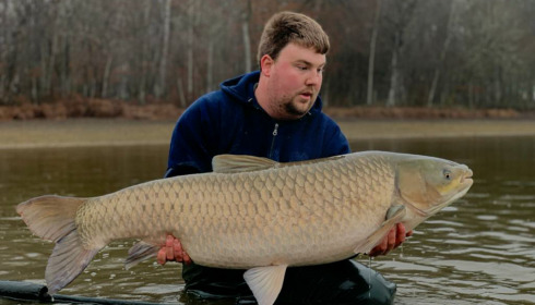 A carp from Boux, Jan 2023