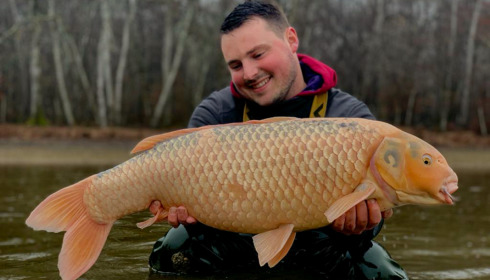 A carp from Boux, Jan 2023