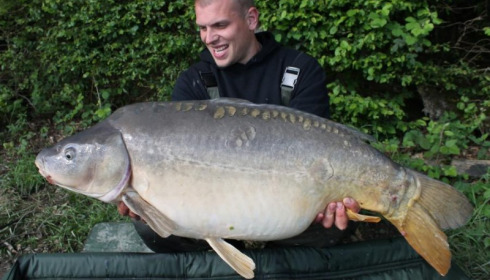 A carp from Boux, Jul 2015