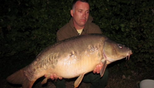 A carp from Boux, Steven Evans, Sep 2013