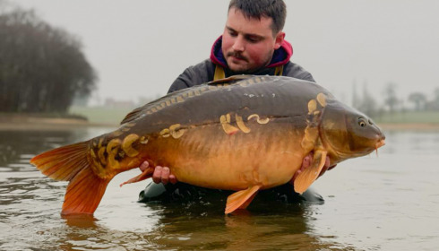 A carp from Boux, Jan 2023