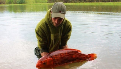 A 21 lb carp from Boux, Gary Western, May 2013