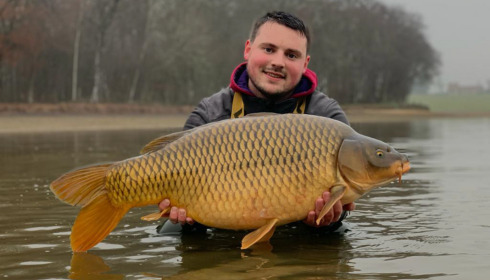 A carp from Boux, Jan 2023