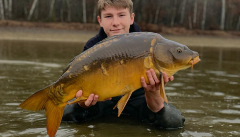 A carp from Boux, Jan 2023