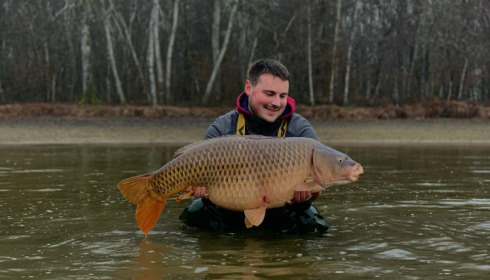 A carp from Boux, Jan 2023