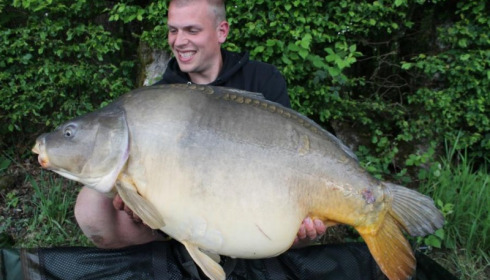 A carp from Boux, Jul 2015