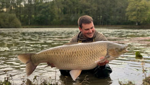 A carp from Boux, Jan 2023