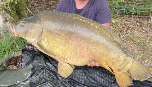 A 41 lb fish from Boux, Mirror, Oct 2022