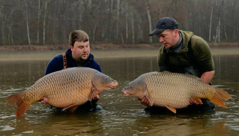 A carp from Boux, Jan 2023