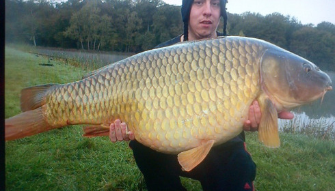 A 50 lb carp from Boux, Thomas Lawlor's Group, Oct 2013