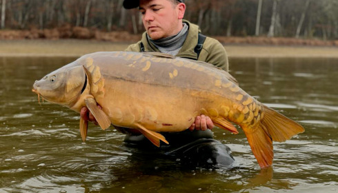 A carp from Boux, Jan 2023