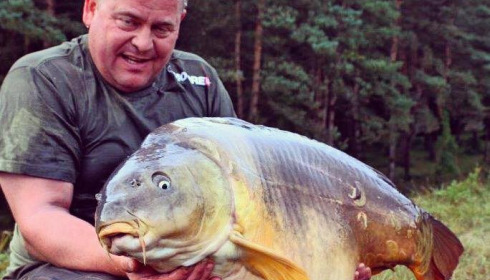 A carp from Boux, John Howard, Oct 2014