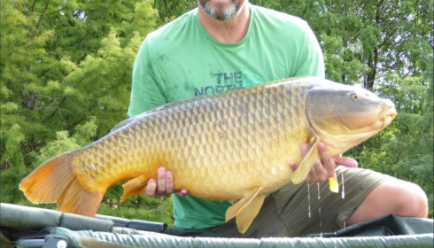 A carp from Boux, Simon Richards, Sep 2018