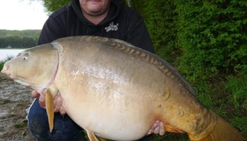 A carp from Boux, Peter Smith, Oct 2014