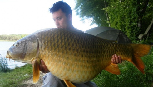 A 51 lb carp from Boux, Sam, May 2014