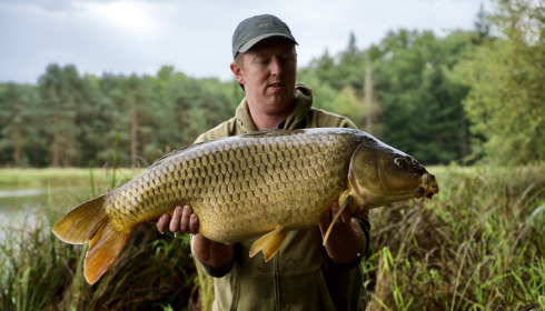 A fish from Boux, Sep 2022