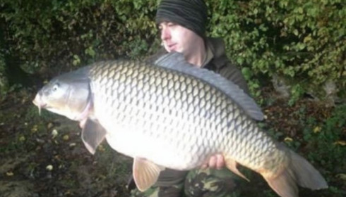 A carp from Boux, Jay Greatrix, Oct 2015