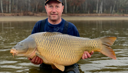 A carp from Boux, Jan 2023