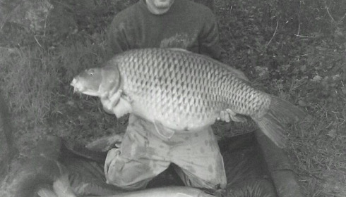 A 53 lb 6 oz carp from Boux, 53lb 6oz Common and 44lb Mirror - Andy Bridge, Apr 2015