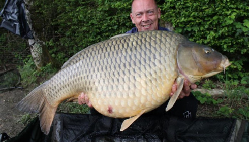 A carp from Boux, Jul 2015