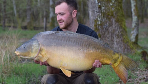 A carp from Boux, Nathan Friend, Mar 2017