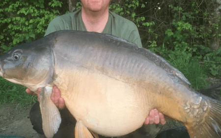 A 50 lb 4 oz carp from Boux, Dave Farman, Apr 2017