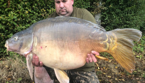 A carp from Boux, Sep 2019