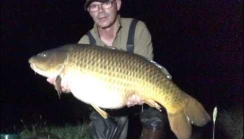 A carp from Boux, Wood's Party, Apr 2018